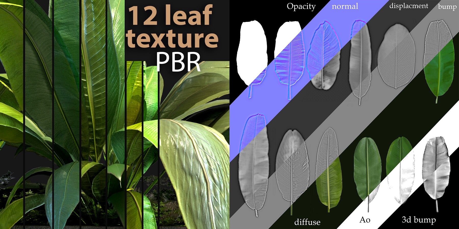 12 leaf banana texture PBR