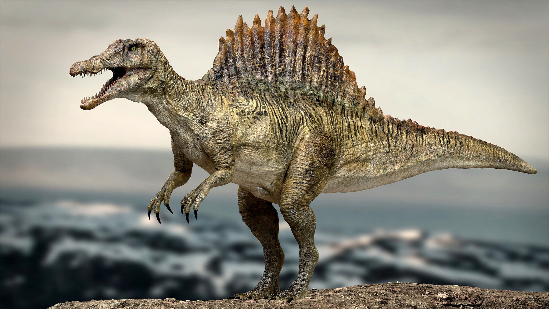 Spinosaurus Rigged 3D model