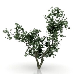 Resource-Interior-Mini Tree
