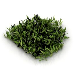 Resource-Interior-Grass-Herb-turf-weed