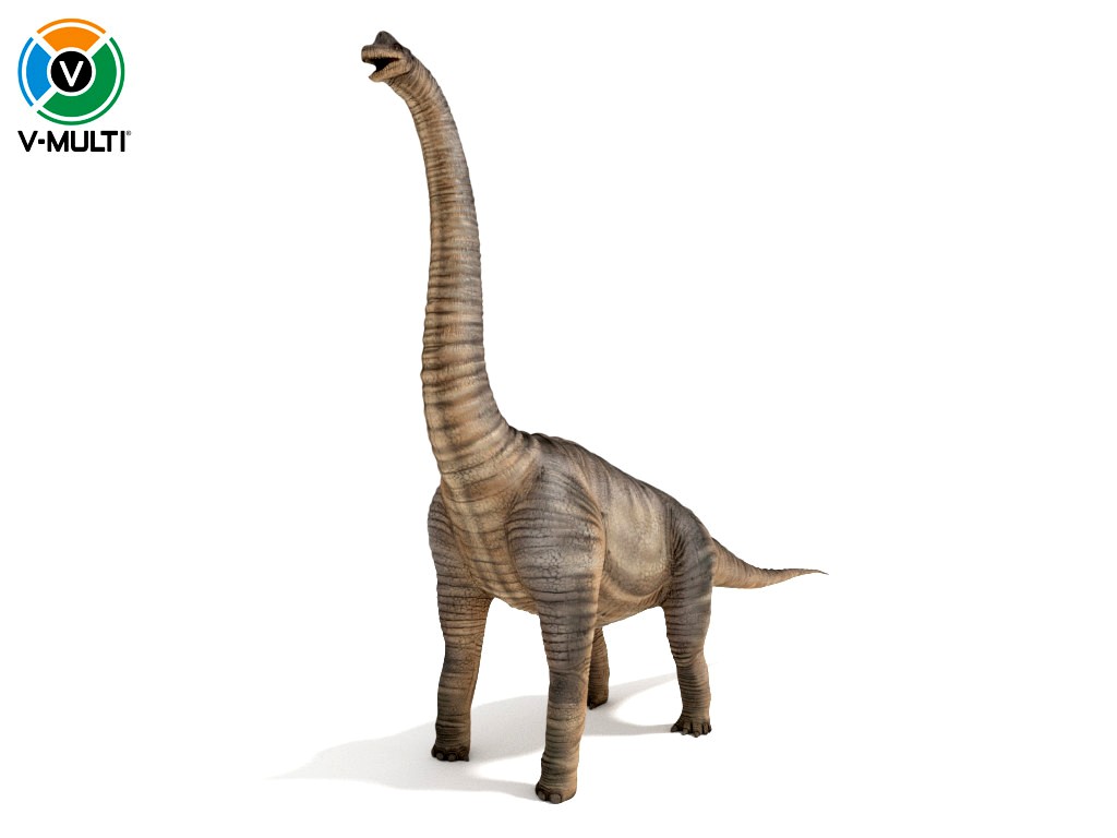 3D Model: Brachiosaurus