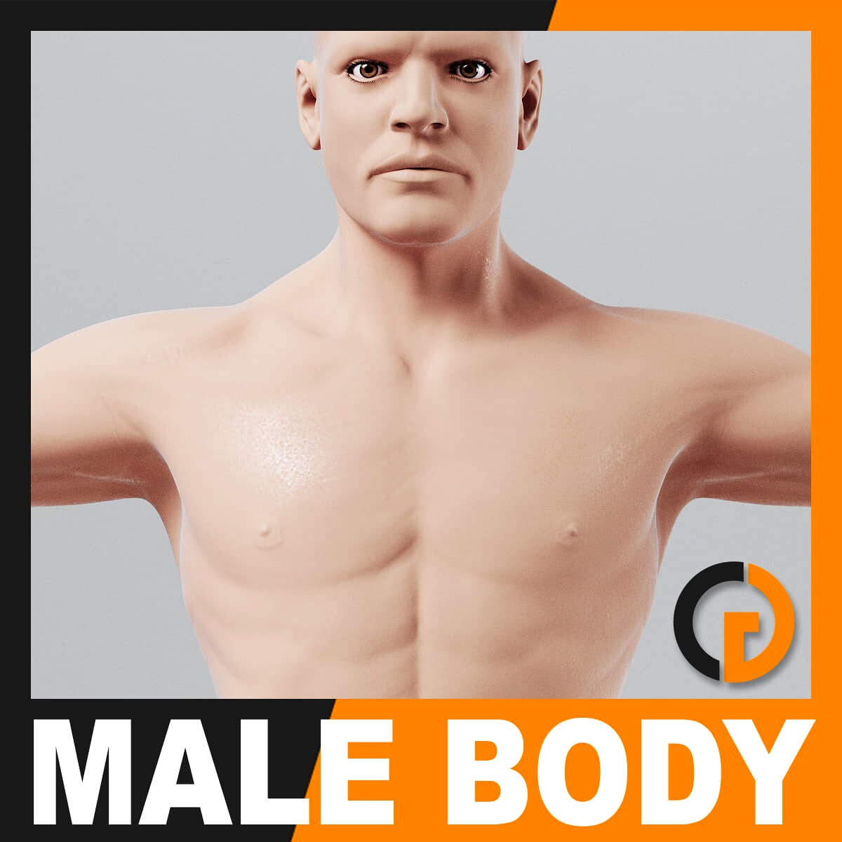 Human Male Body - Anatomy