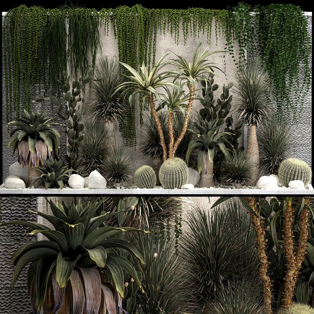 Collection Of Tropical Desert Plants From Cactus