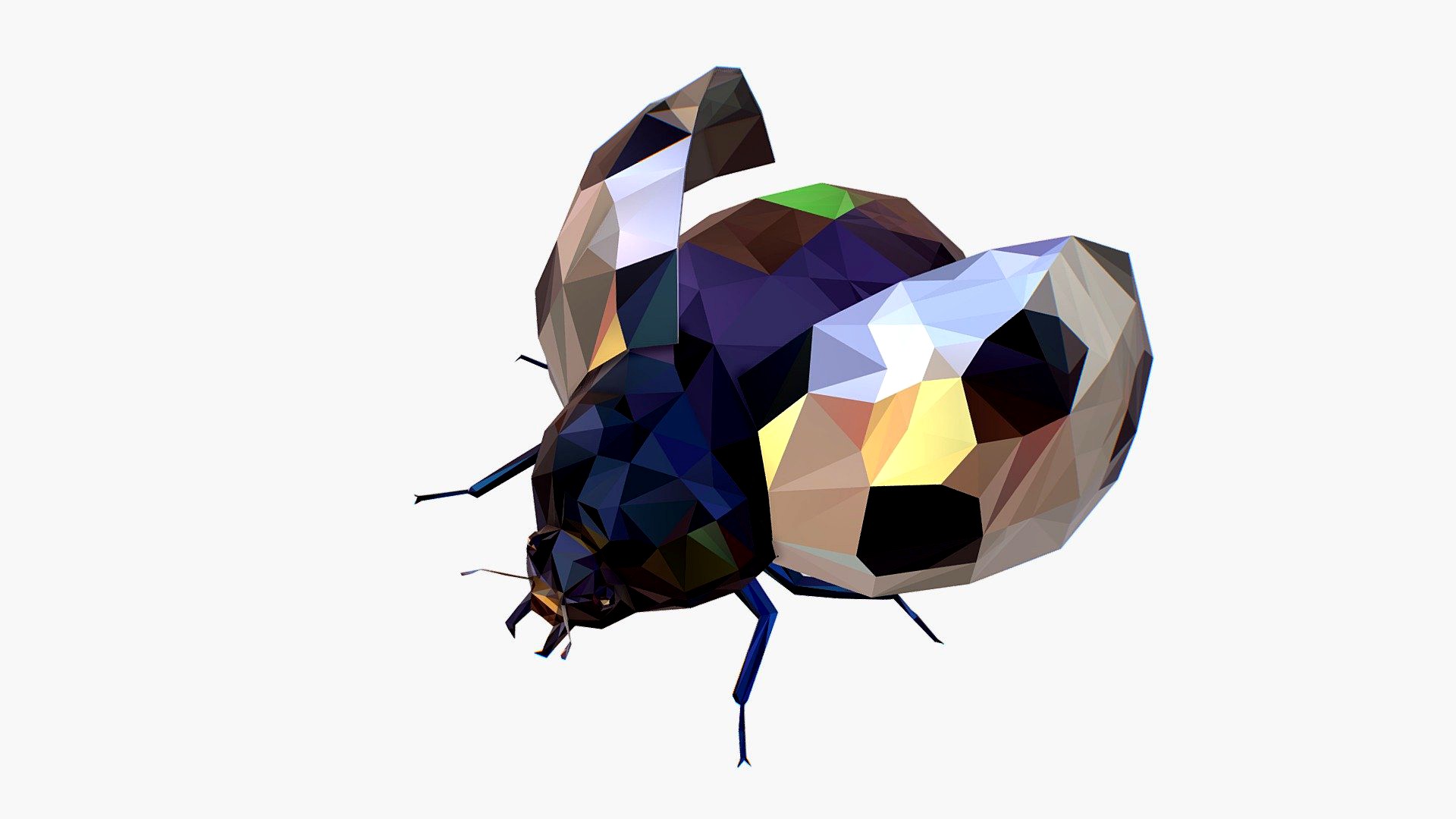 Bug Ladybug White Low Polygon Art Insect