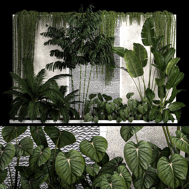 Garden And Tropical Flowerbed With Hanging Plants 1125