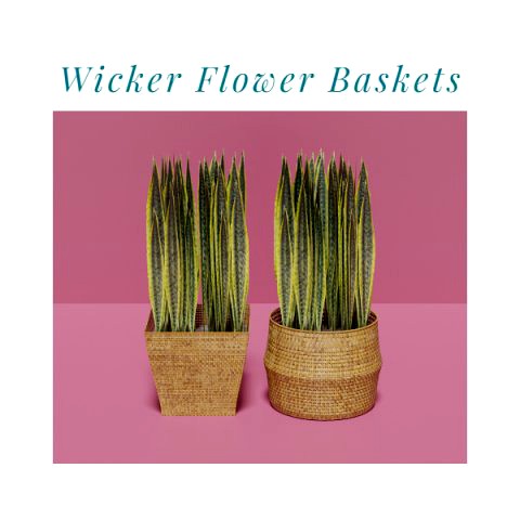 Wicker Flower Baskets Set