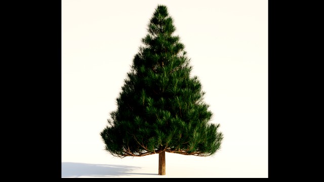 Christmas tree