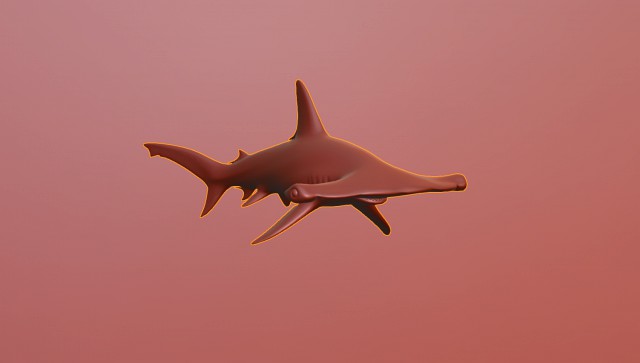 Hammerhead