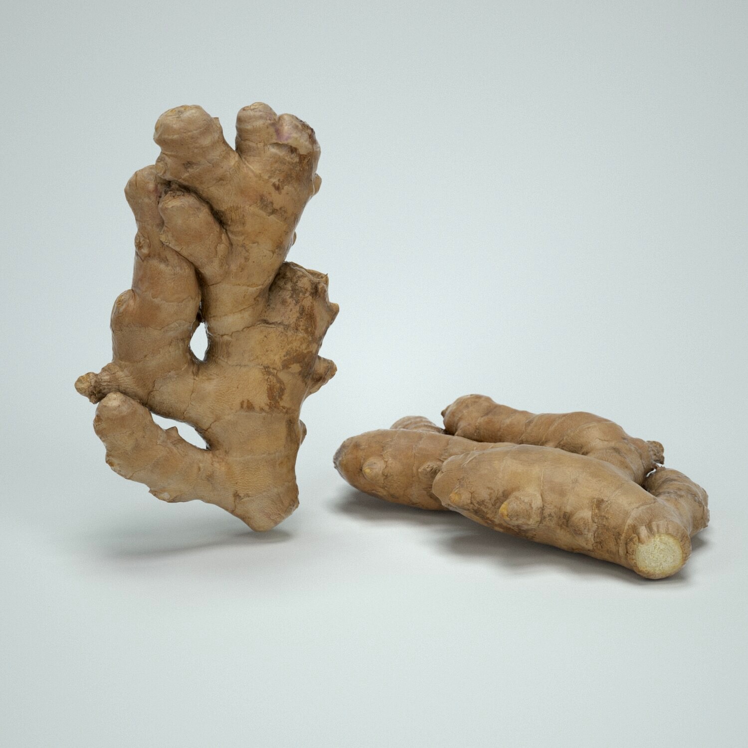 Ginger