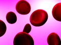 Red Blood Cells 3D Model
