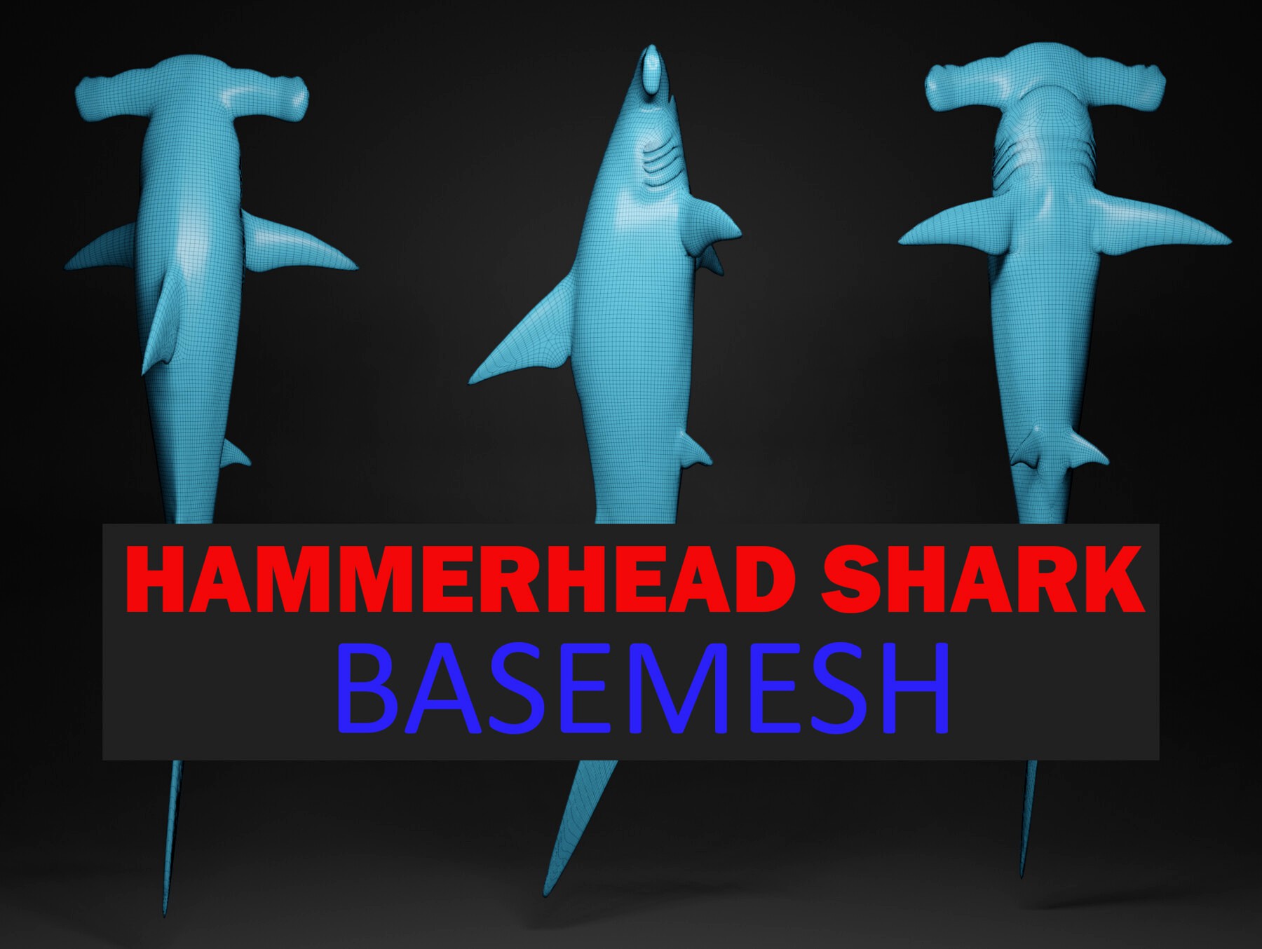 hammerhead shark basemesh obj