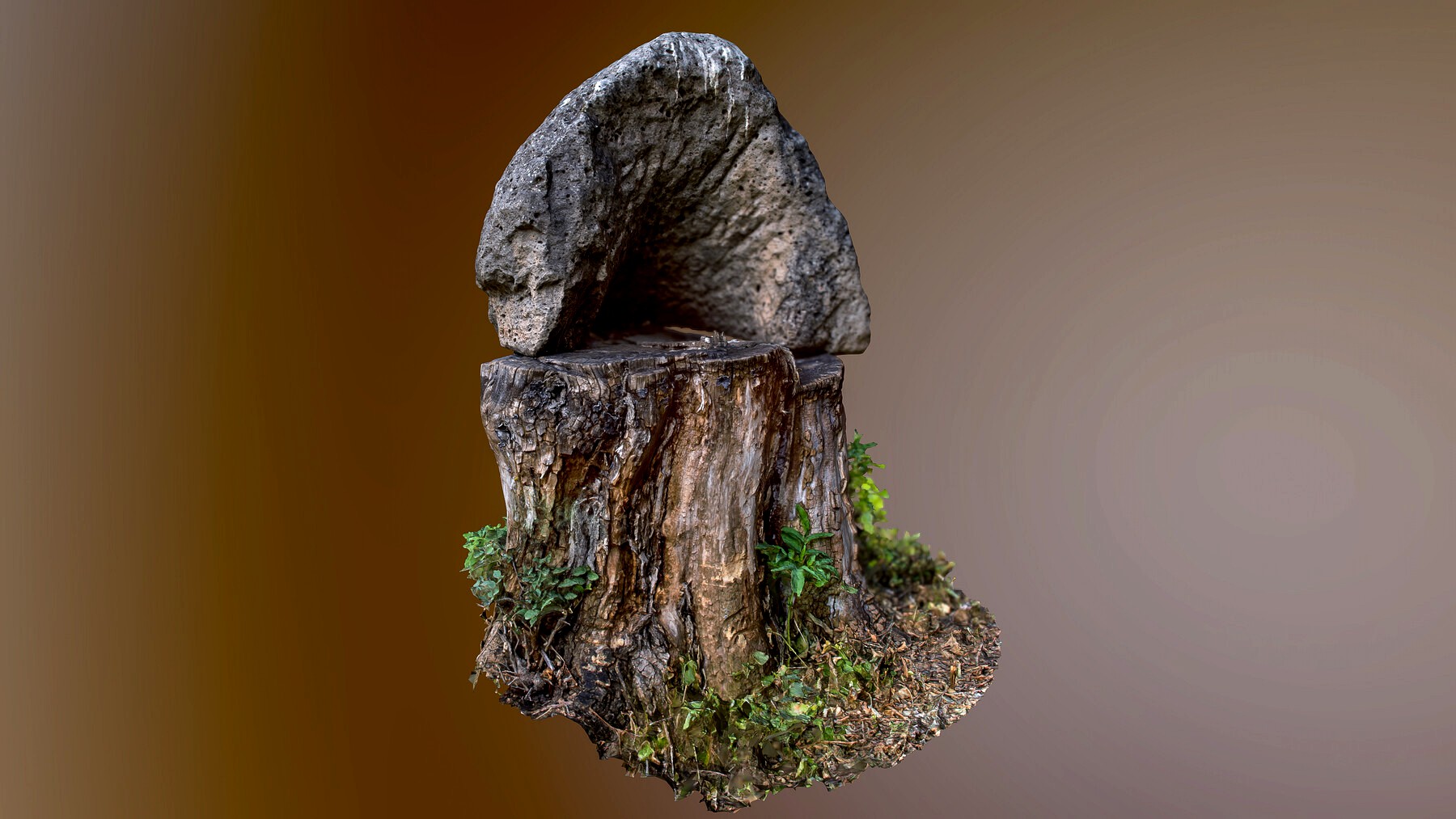 Photogrammetry Stamp and stone