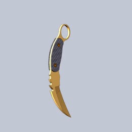 Karambit Strider PS