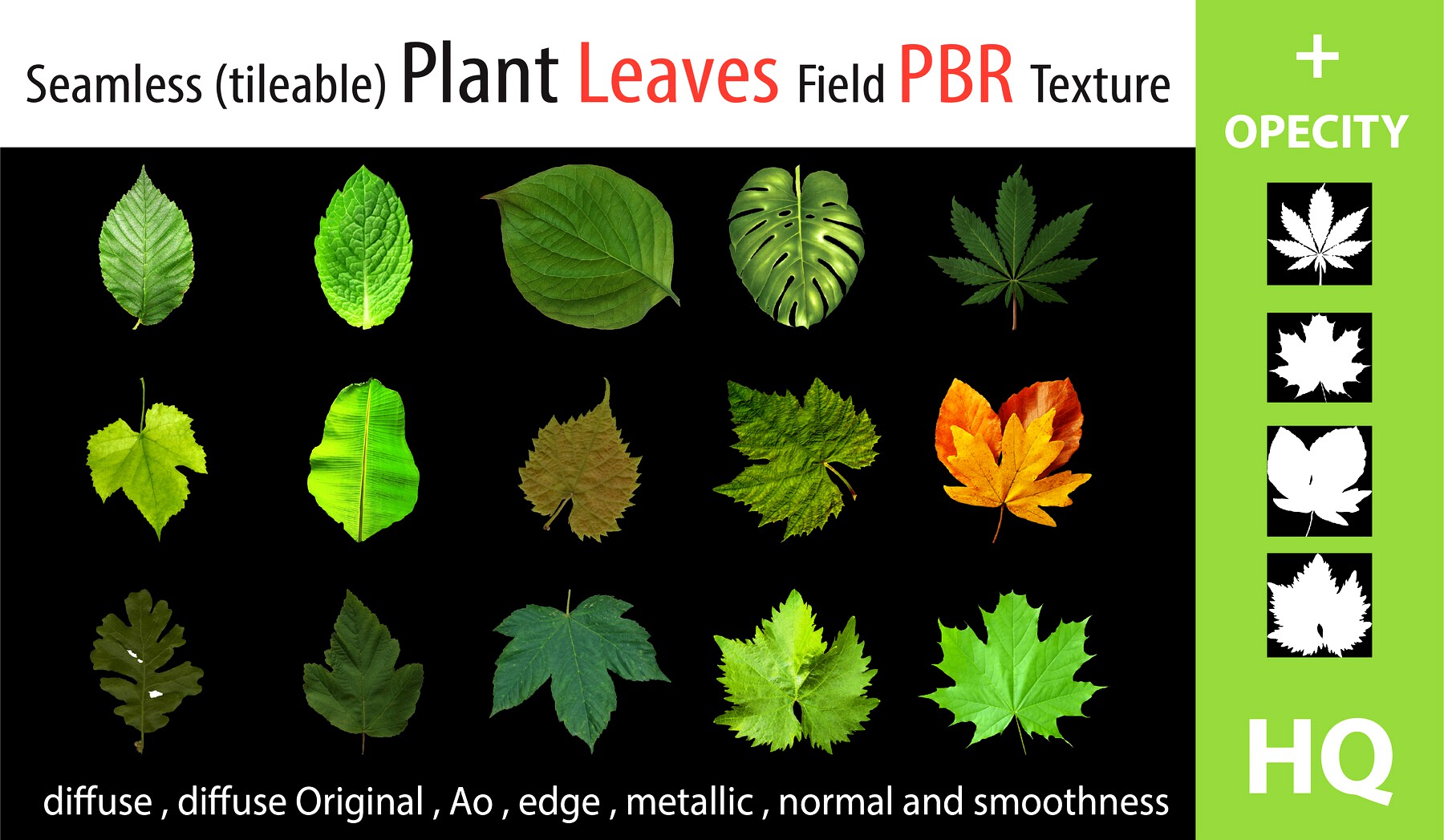 PBR LEAF PLANT materials - HQ