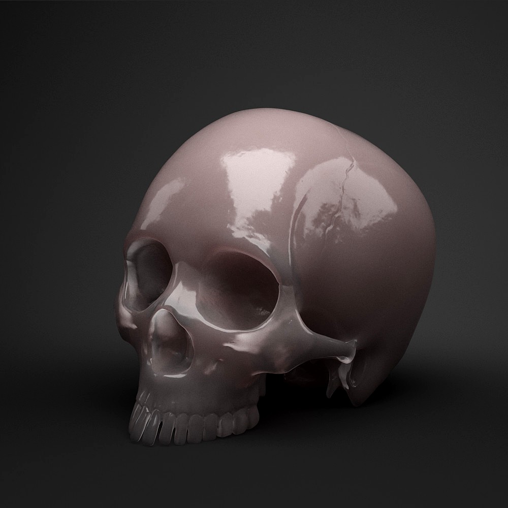 skull 3d model