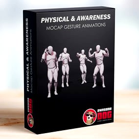 Physical & Awareness MoCap Gesture Animation Pack