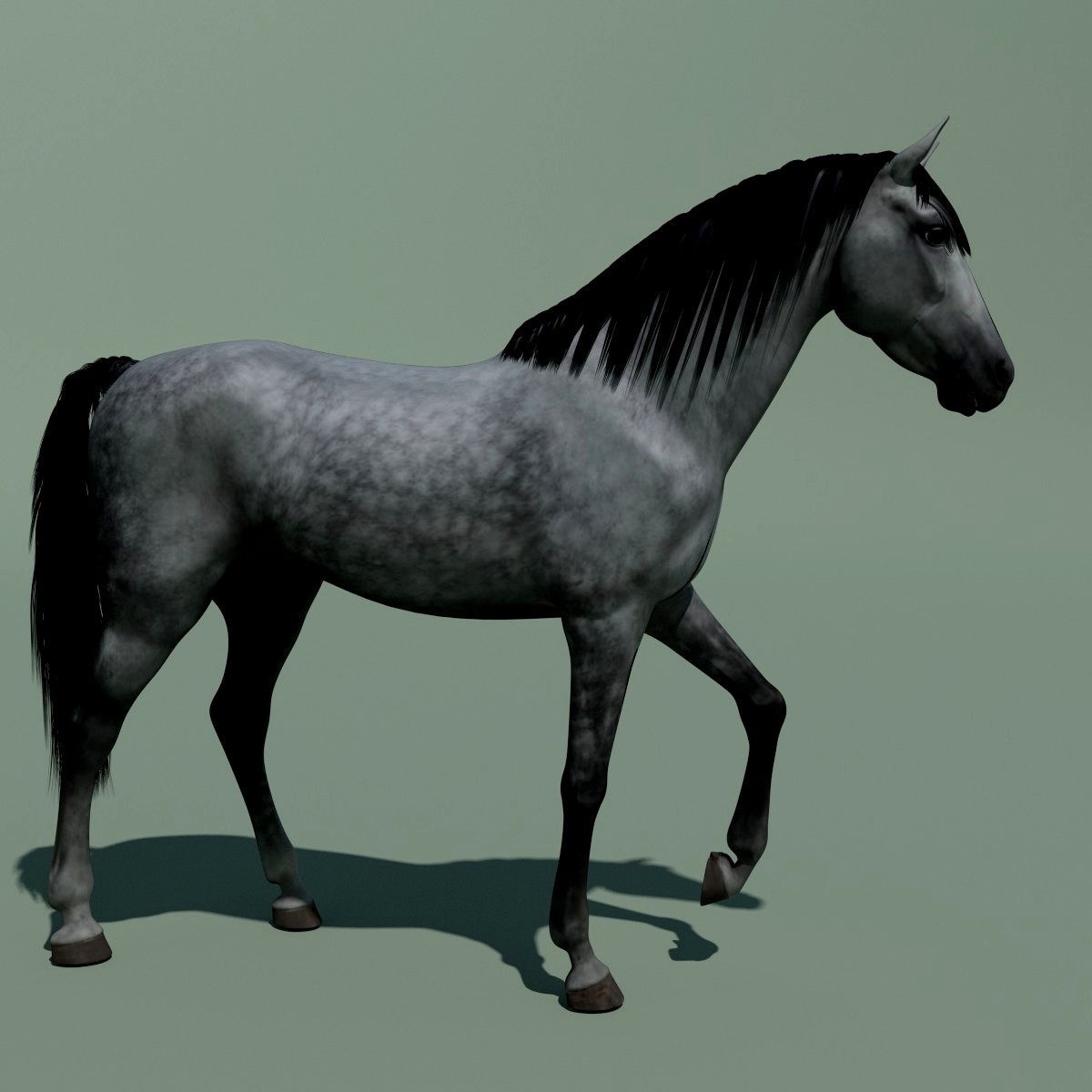 Horse animated + 10 colours