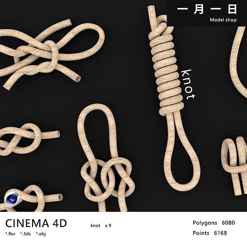 knot model