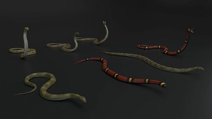 Snake Rigged and Animated