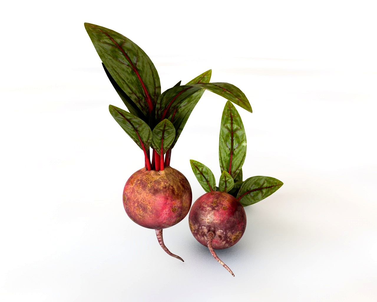 Beetroot 3D Model