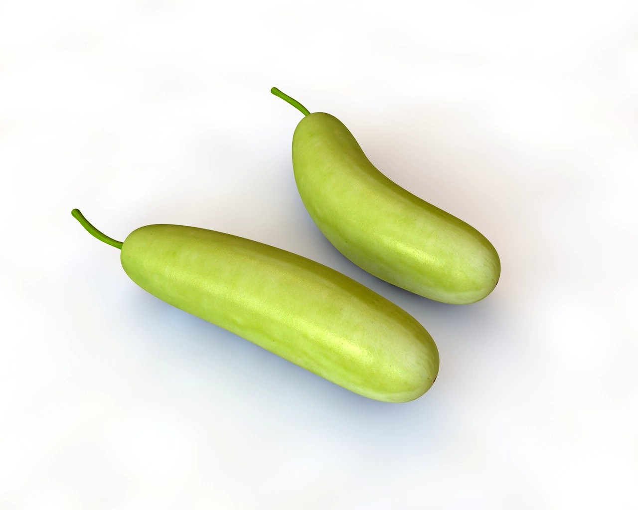 Bottle Gourd 3D Model