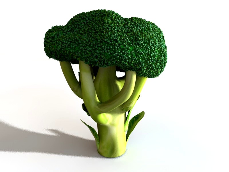 Broccoli 3D Model
