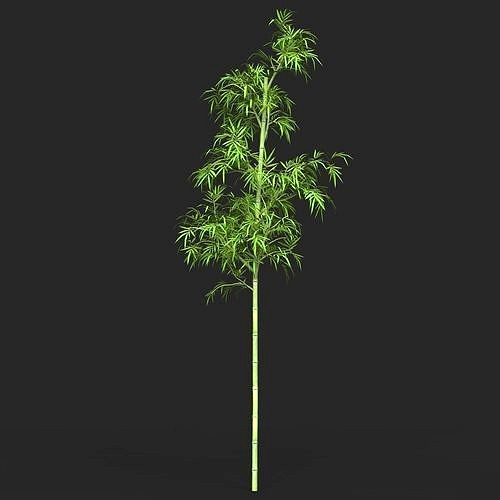 Realistic Game Ready Bamboo Tree 04