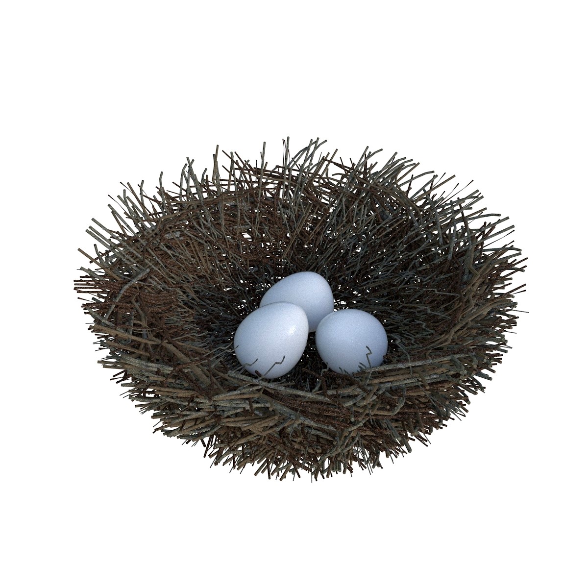 Nest 3D Model