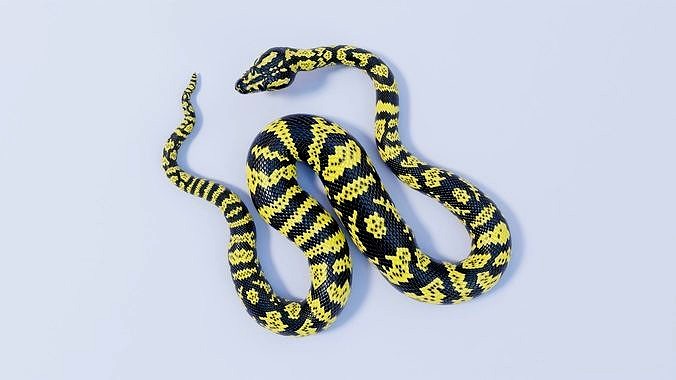 Rigged Zebra Jungle Carpet Python