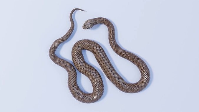 Rigged Eastern Brown Snake