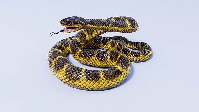 Animated Tiger Snake