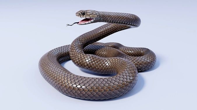 Animated Eastern Brown Snake