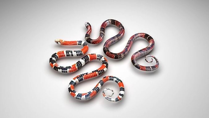 Snakes