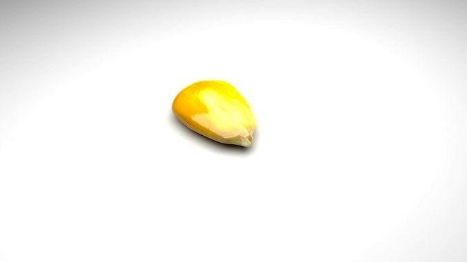 Corn Kernel