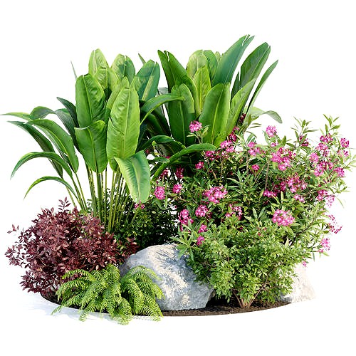 Outdoor Garden Plants Collection vol 136