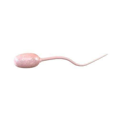 Sperm v1 002
