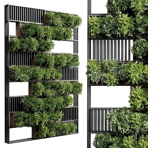 plants set partition in wooden frame  Vertical graden