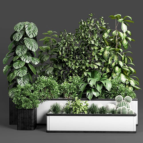 Garden Plants set Concrete box plants on stand