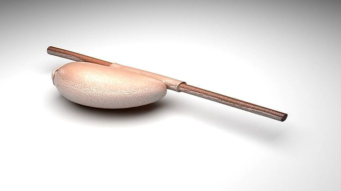 Louse Egg