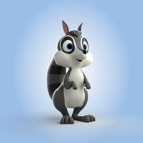 Racoon