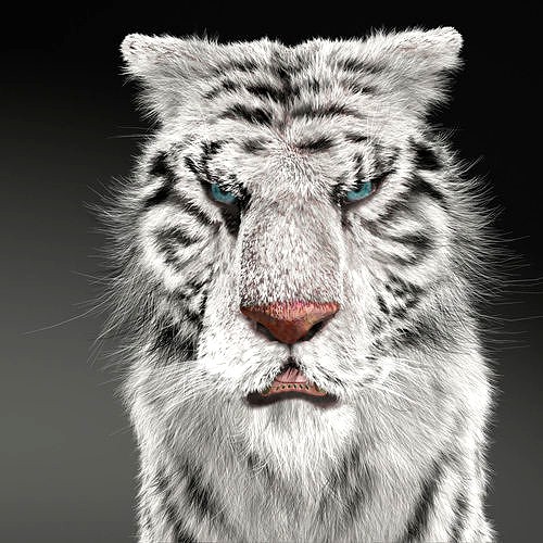 Rigged White Tiger v2
