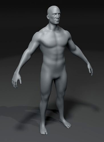 Male Body Base Mesh 28 Animations 3D Model 10k Polygons