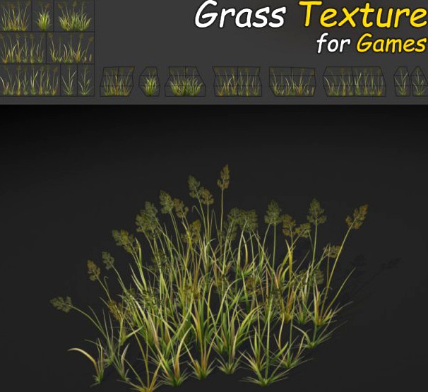 Bent Grass Texture 3D Model