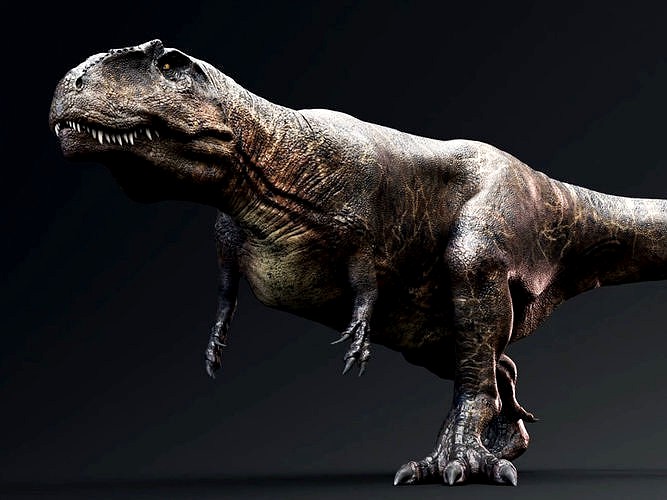 Giganotosaurus Real Dinosaur Series