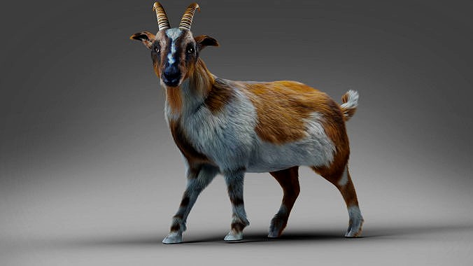 Fur Goat 01 Rigged in Blender