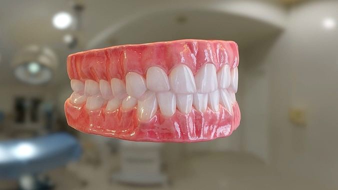 Teeth