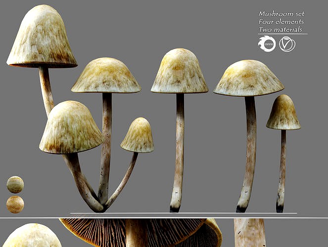 Mushroom set
