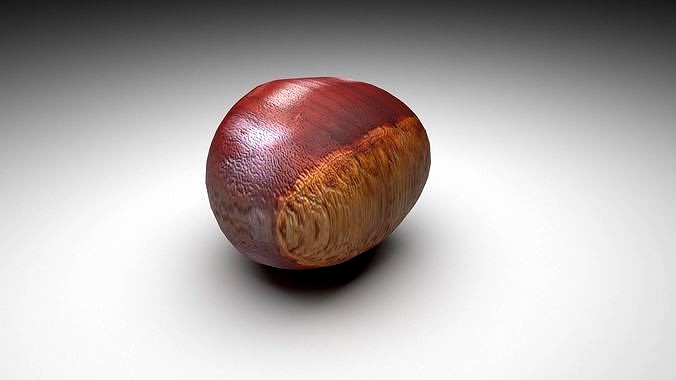 Chestnut Seed