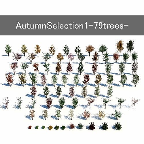 AutumnSelection1-79trees-