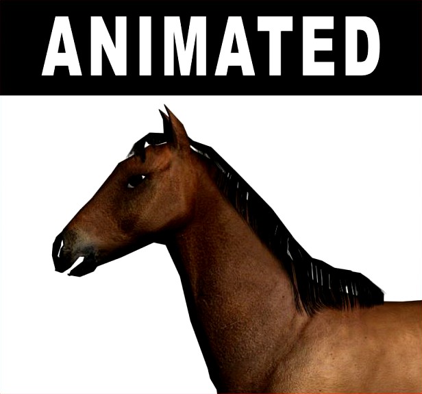Horse 3D Model